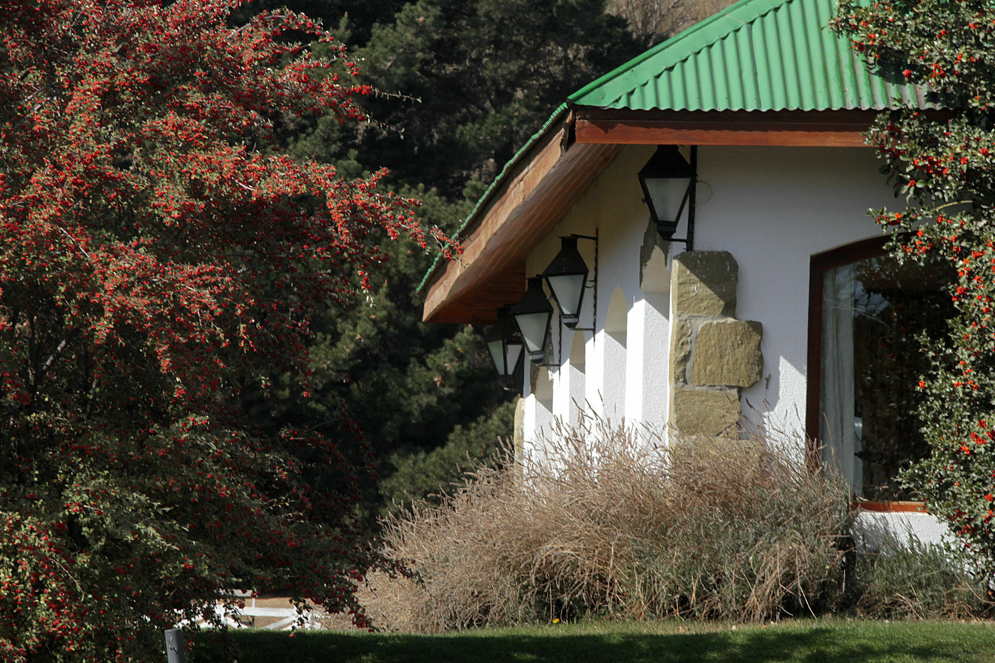 Kau Yatun Hotel Boutique El Calafate Bagian luar foto